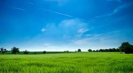 Lands having around 3000+ fruit trees at very natury location
